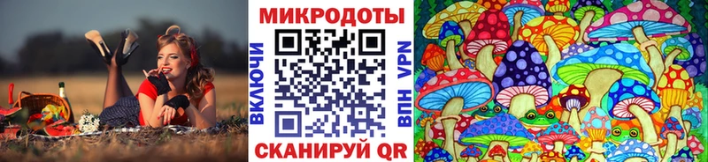 МЕГА маркетплейс  Гагарин  Псилоцибиновые грибы Psilocybe 